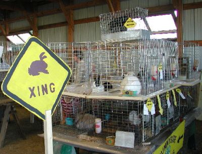 the SIGN speaks for itself!